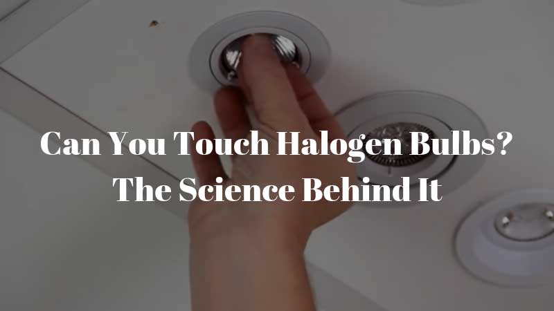Can-You-Touch-Halogen-Bulbs