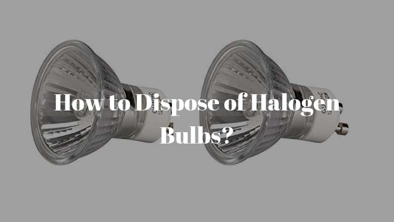 How-to-Dispose-of-Halogen-Bulbs