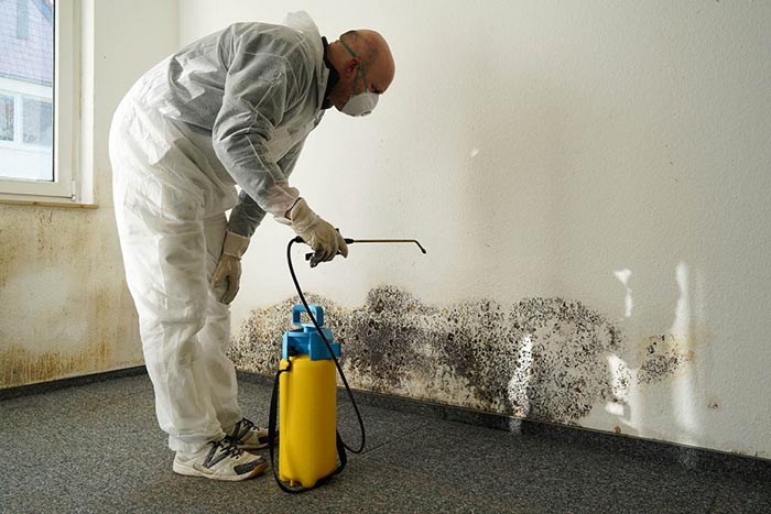 Should I Get a Mold Inspection When Buying a House?